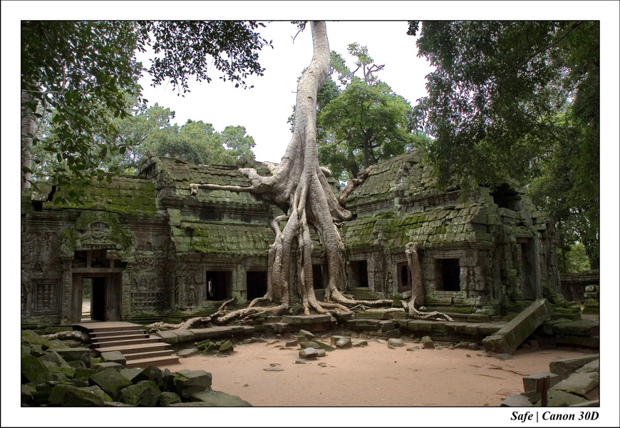 Ta Prohm